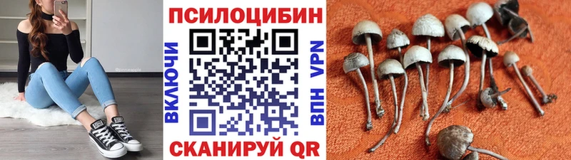 площадка состав  Усть-Илимск  Псилоцибиновые грибы мицелий 