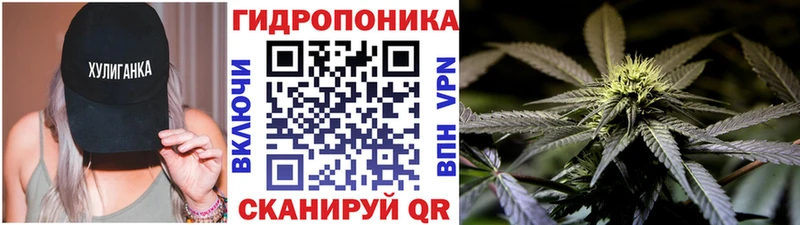 Шишки марихуана гибрид  Усть-Илимск 